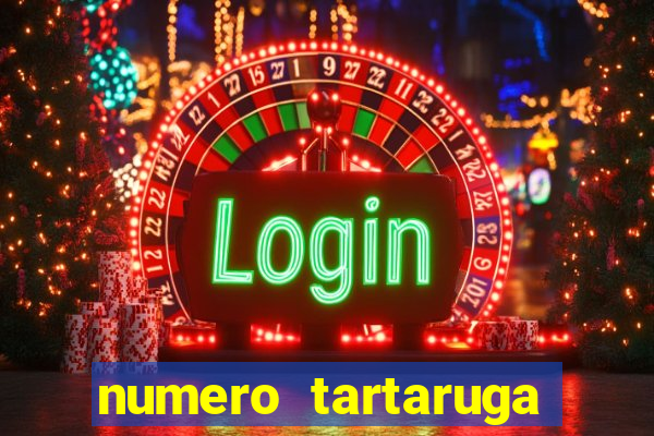 numero tartaruga jogo do bicho